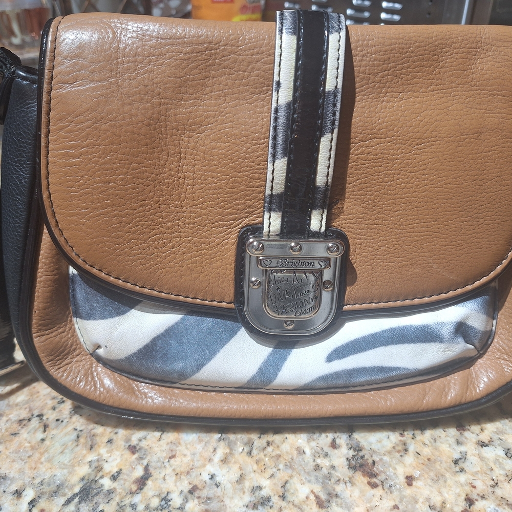 Brighton Stylish Brown and Black Women's Bag